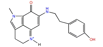 Makaluvamine K